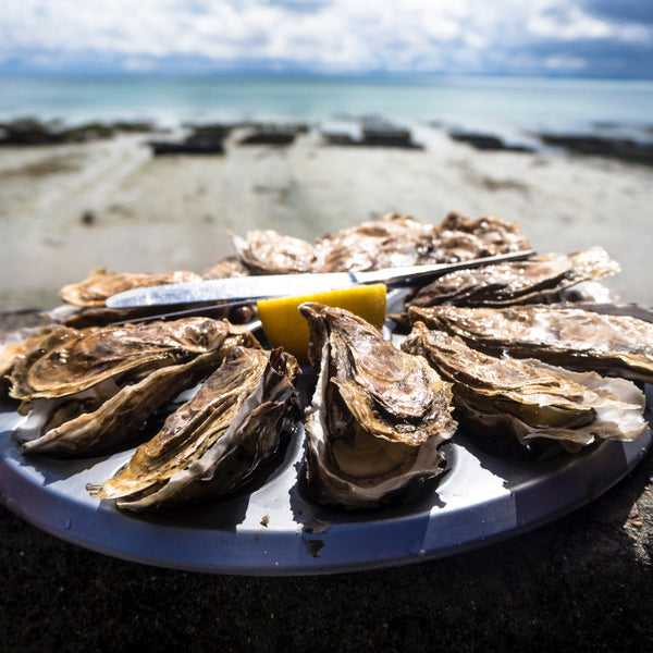 Fresh oyster platter with sea in background