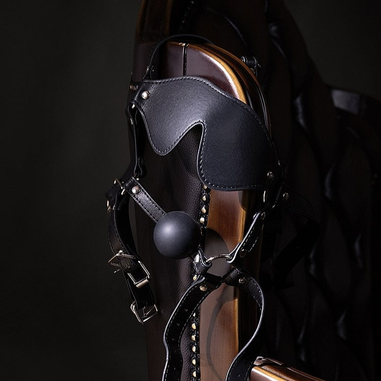 Ouch Xtreme Blindfolded Head Harness With Solid Ball Gag | Bondage Gag | Shots Toys | Bodyjoys