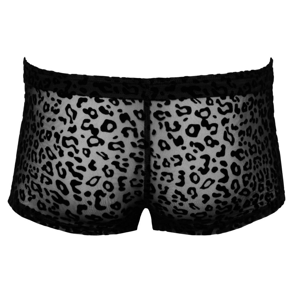 Noir Leopard Flock Shorts Sheer Black | Sexy Male Underwear | Noir Handmade | Bodyjoys