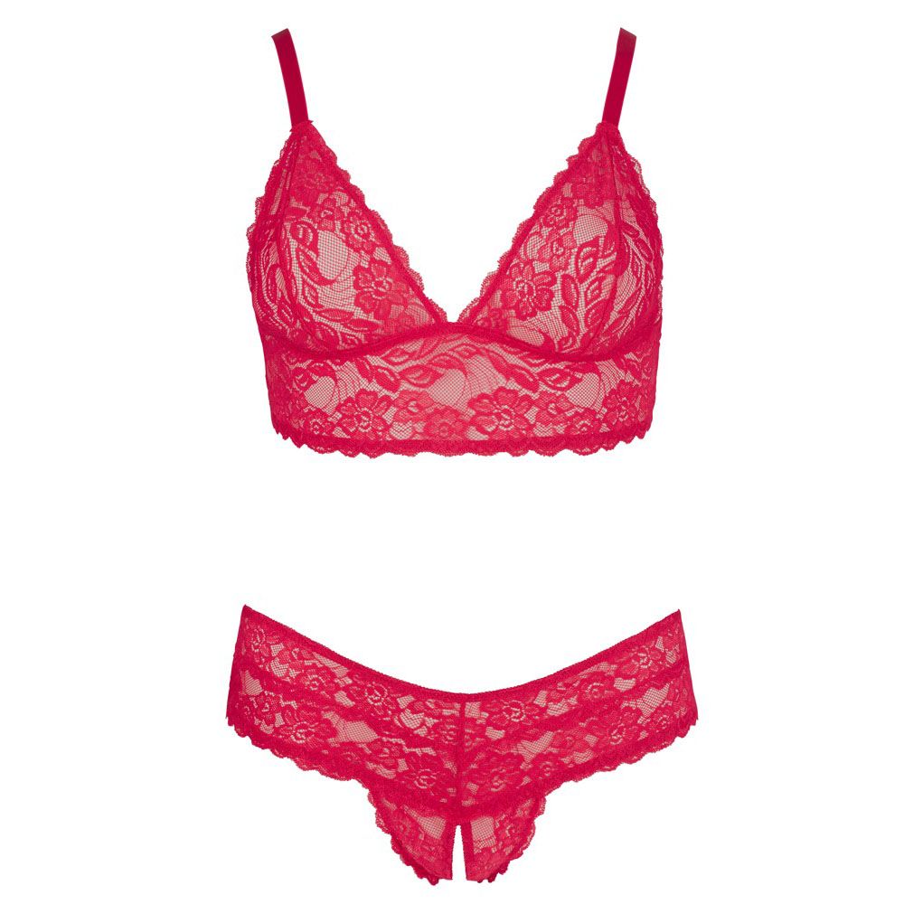 Cottelli Plus Size Red Lace Bra And Briefs | Bras & Bra Sets | Cottelli Lingerie | Bodyjoys