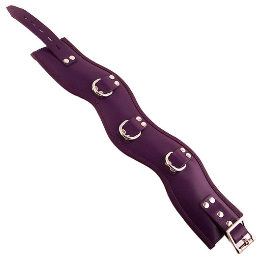 Rouge Garments Purple Padded Posture Collar | Bondage Collars & Leads | Rouge | Bodyjoys