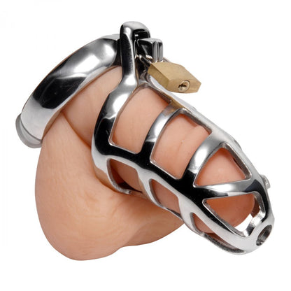 Master Series Detained Stainless Steel Chastity Cage | Chastity Cage | Master Series | Bodyjoys