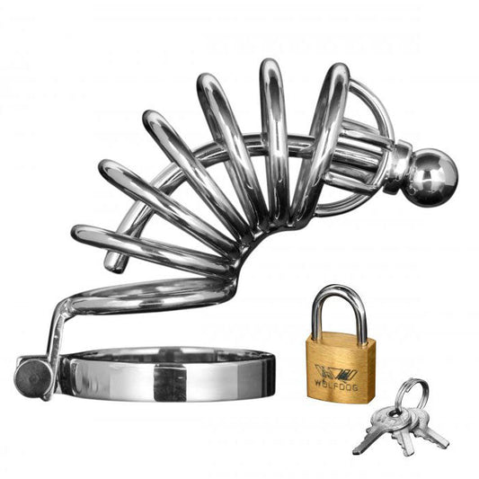 Master Series Asylum 6 Ring Locking Chastity Cage | Chastity Cage | Master Series | Bodyjoys